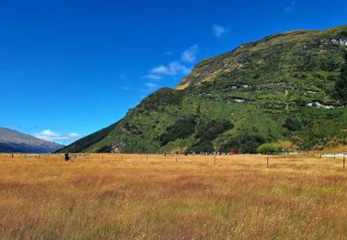 Mana Whenua Partnership