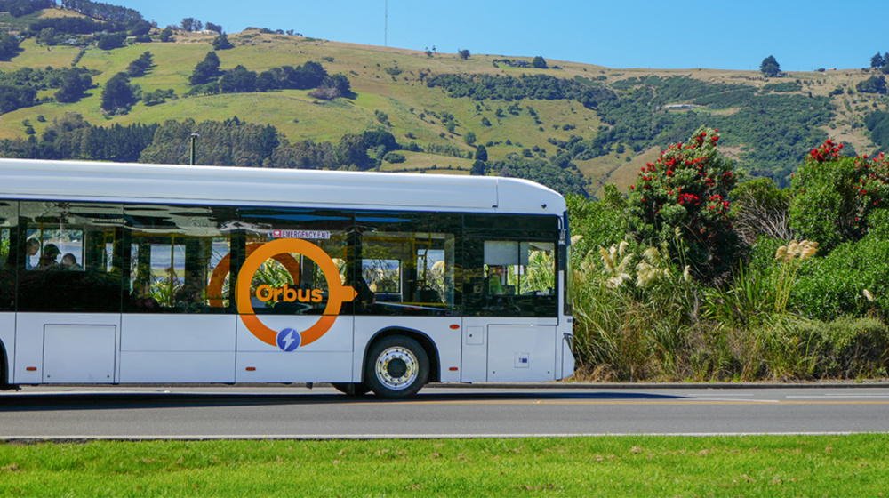 Orbus Bus Driving Past Maia In Dunedin