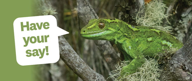 have your say in a speech bubble with a green lizard in a tree