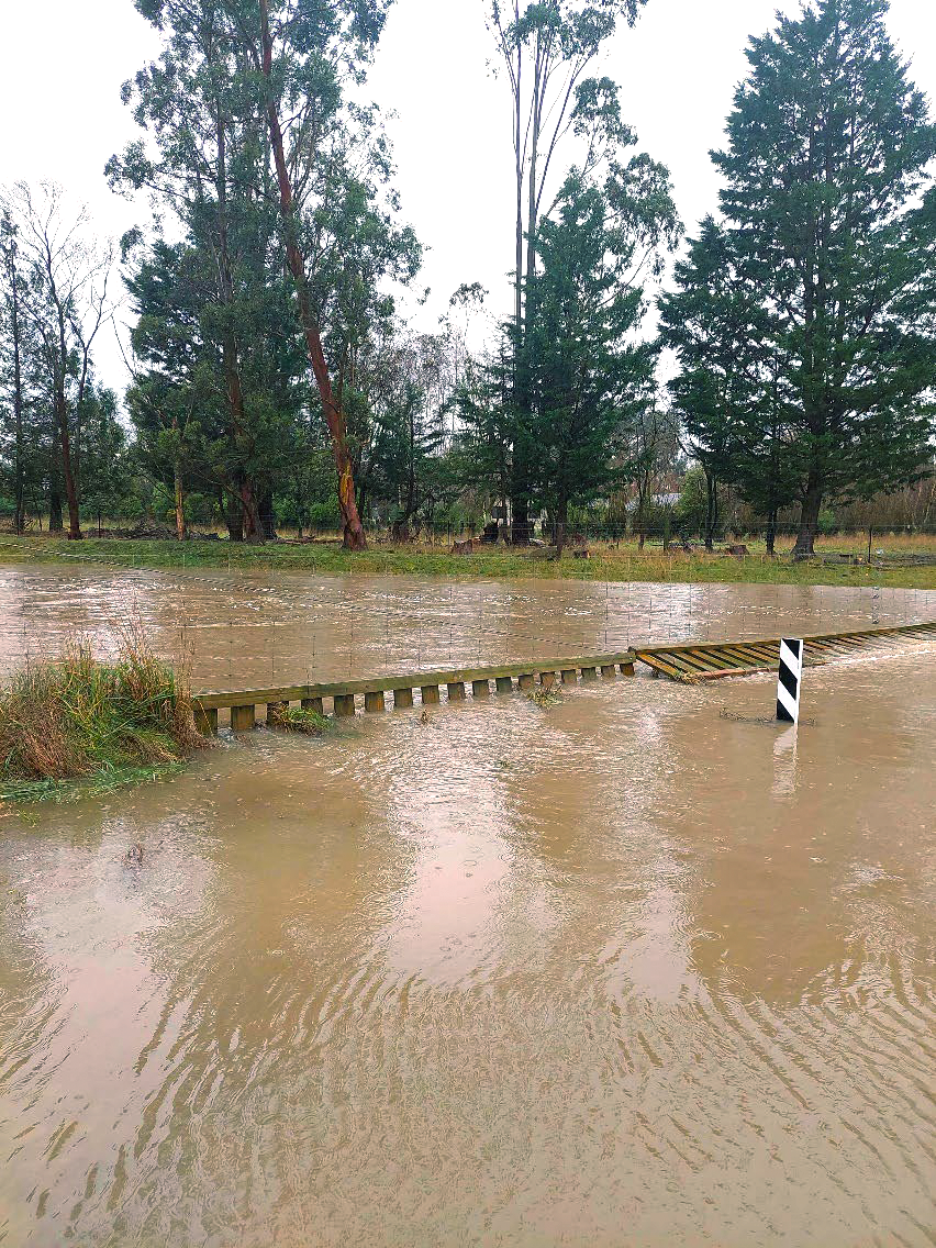 a flooded road with trees in the background