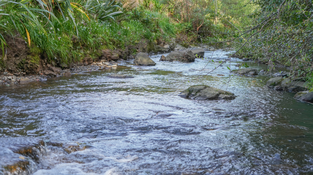 Lindsay Creek Near Otago Community Hospice 2 Normal Levels Sep 2026