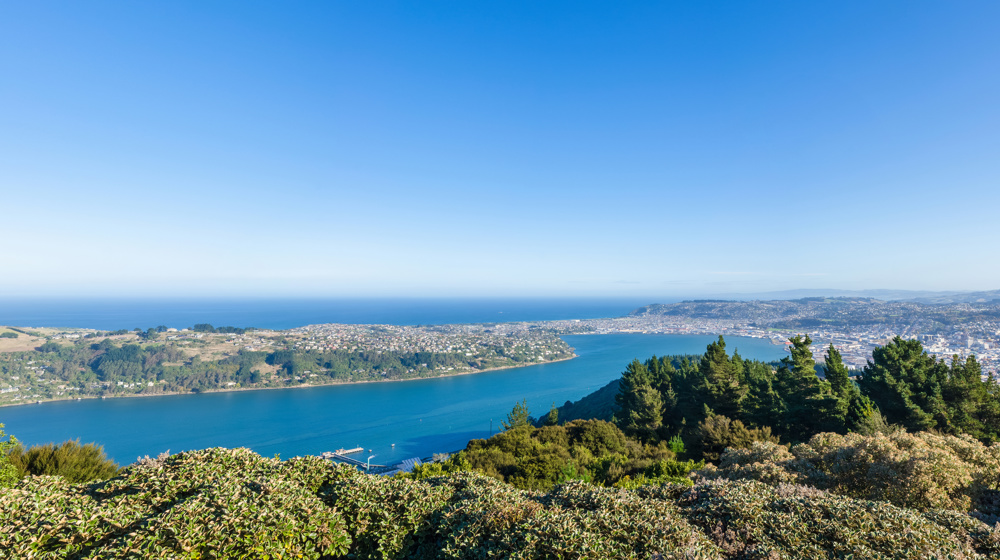 Dunedin Cityscape View Adobestock 210807215