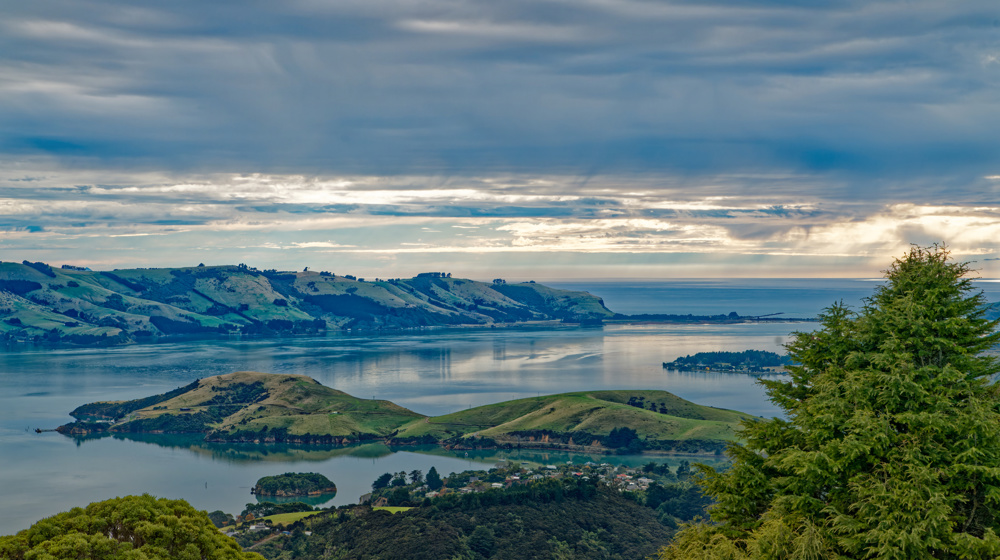 Looking East To Otago Harbour Entrance From The Otago Peninsula