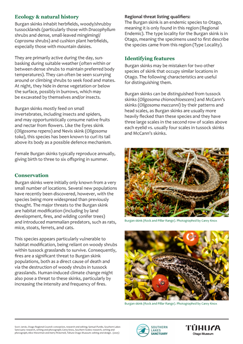 Otago’s skinks, gecko and tuatara
