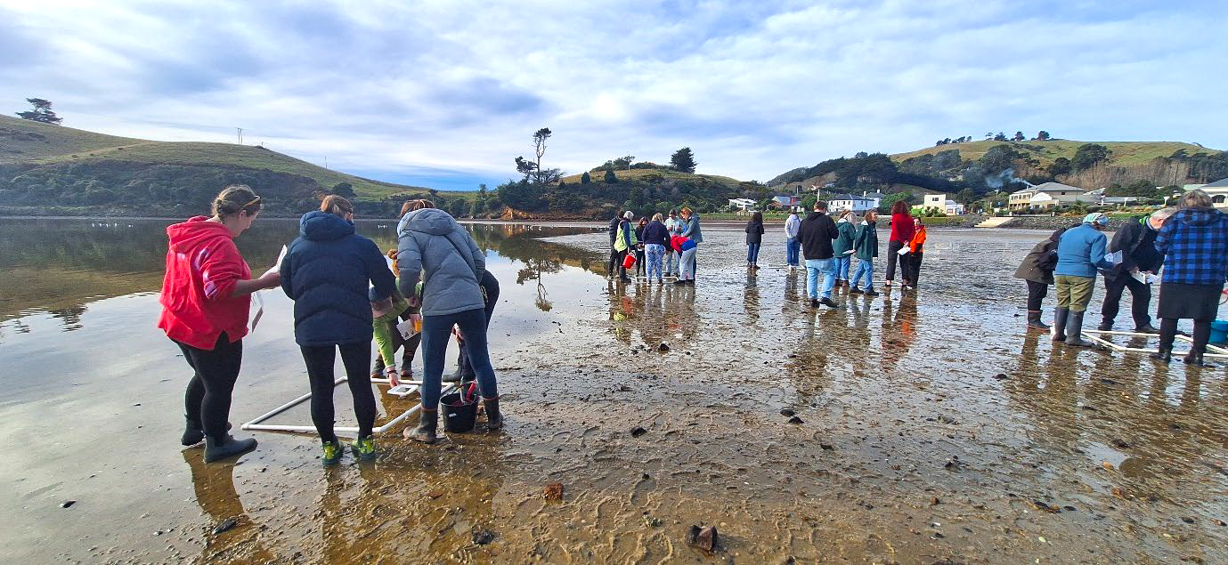 a group of people standing on a mudflat area at low tide looking at the ground