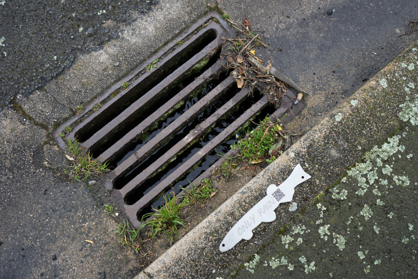 The only drain rain fish - A metal cut out of a fish, with a QR code and the words Only Rain, attached to a curb near a stormwater drain. Water is running into the drain.