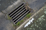 The only drain rain fish - A metal cut out of a fish, with a QR code and the words Only Rain, attached to a curb near a stormwater drain. Water is running into the drain.