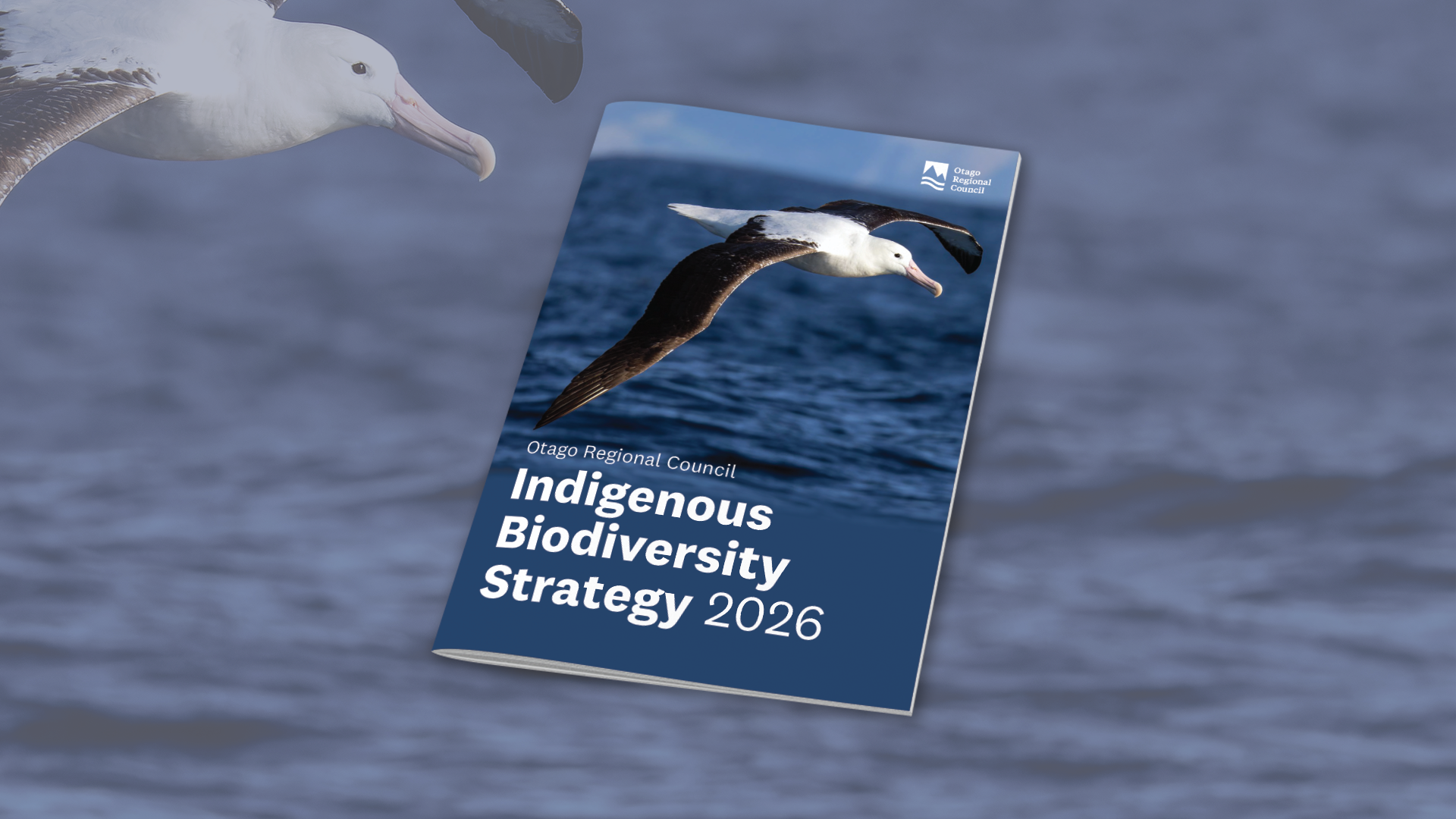 Indigenous Biodiversity Strategy 2026 Web Tile