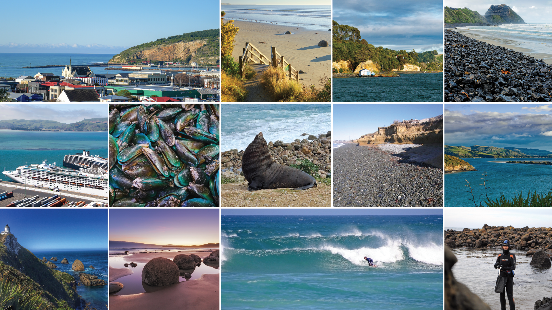 POL Otago's Coast Website Banner 1920X1080 July 2026