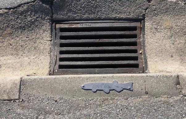 Adopt A Drain On Stream Draft With A Fish Drain