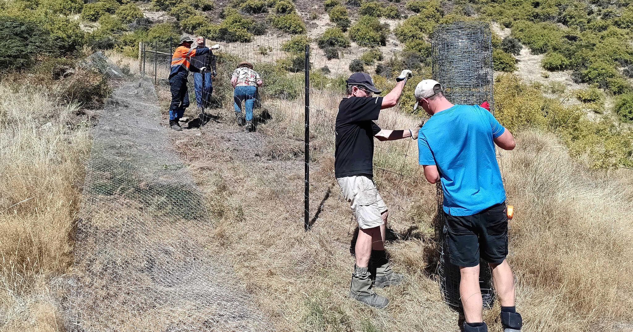 a group of people on a hillside putting up a fence with steel fencing waratahs and a roll of fencing wire