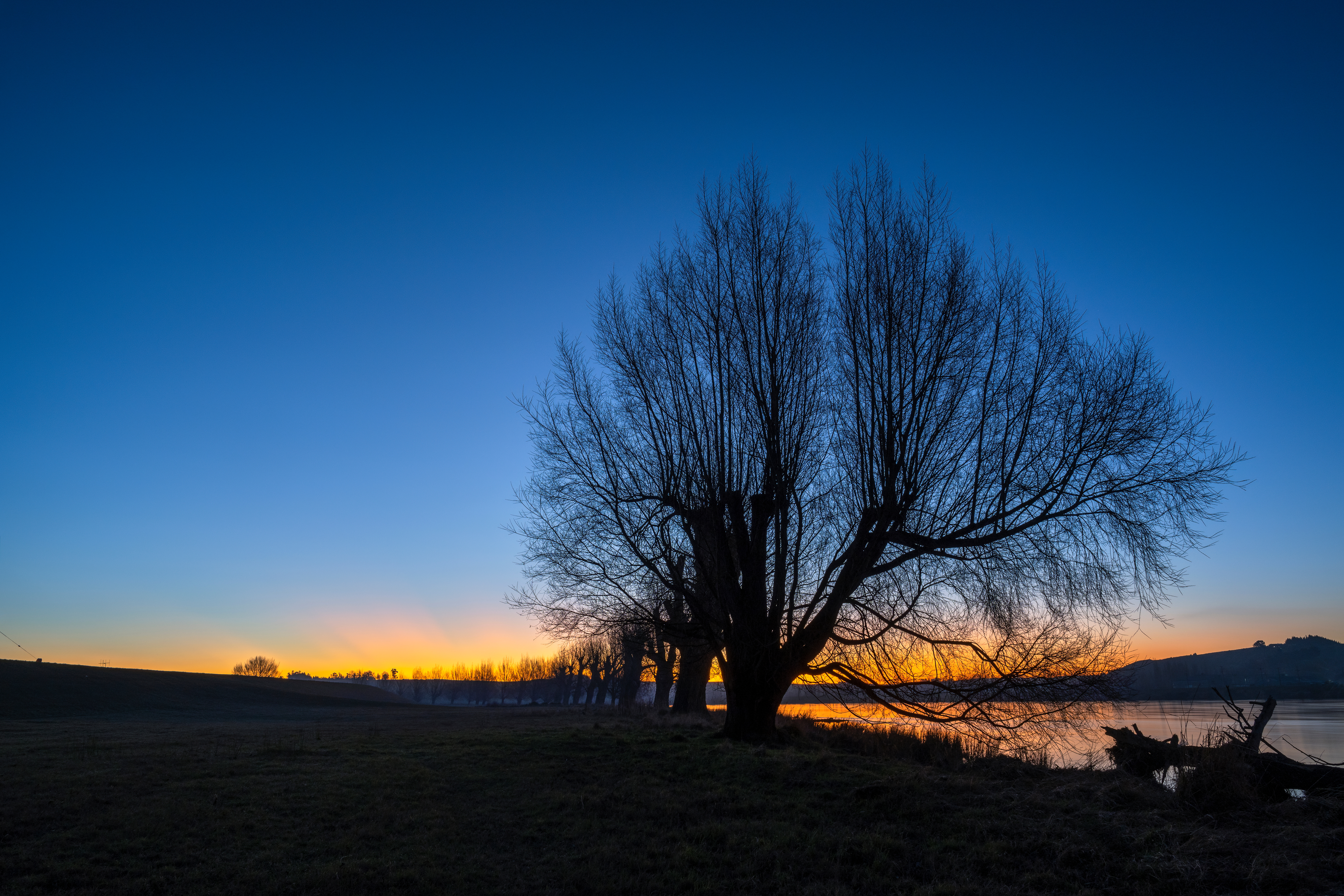 Balclutha Silhouette Trees Along The Clutha River At Sunset,  South Otago. Adobestock 530756548