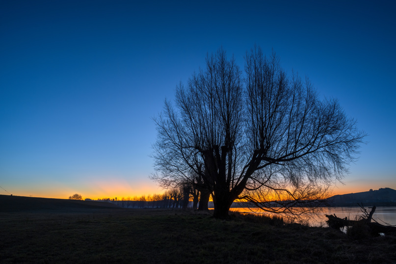 Balclutha Silhouette Trees Along The Clutha River At Sunset,  South Otago. Adobestock 530756548