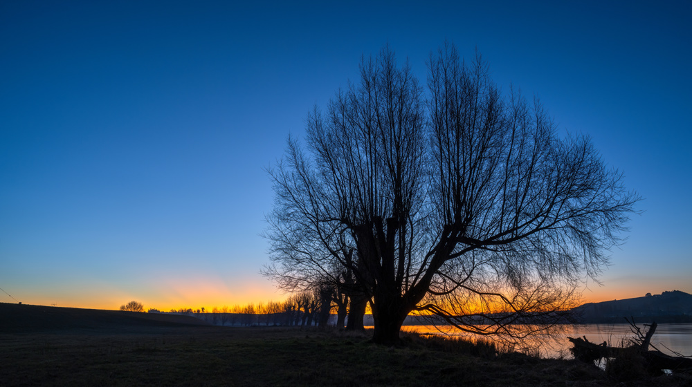 Balclutha Silhouette Trees Along The Clutha River At Sunset,  South Otago. Adobestock 530756548
