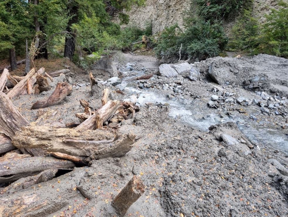 Recently-deposited boulders and woody debris in the creek channel