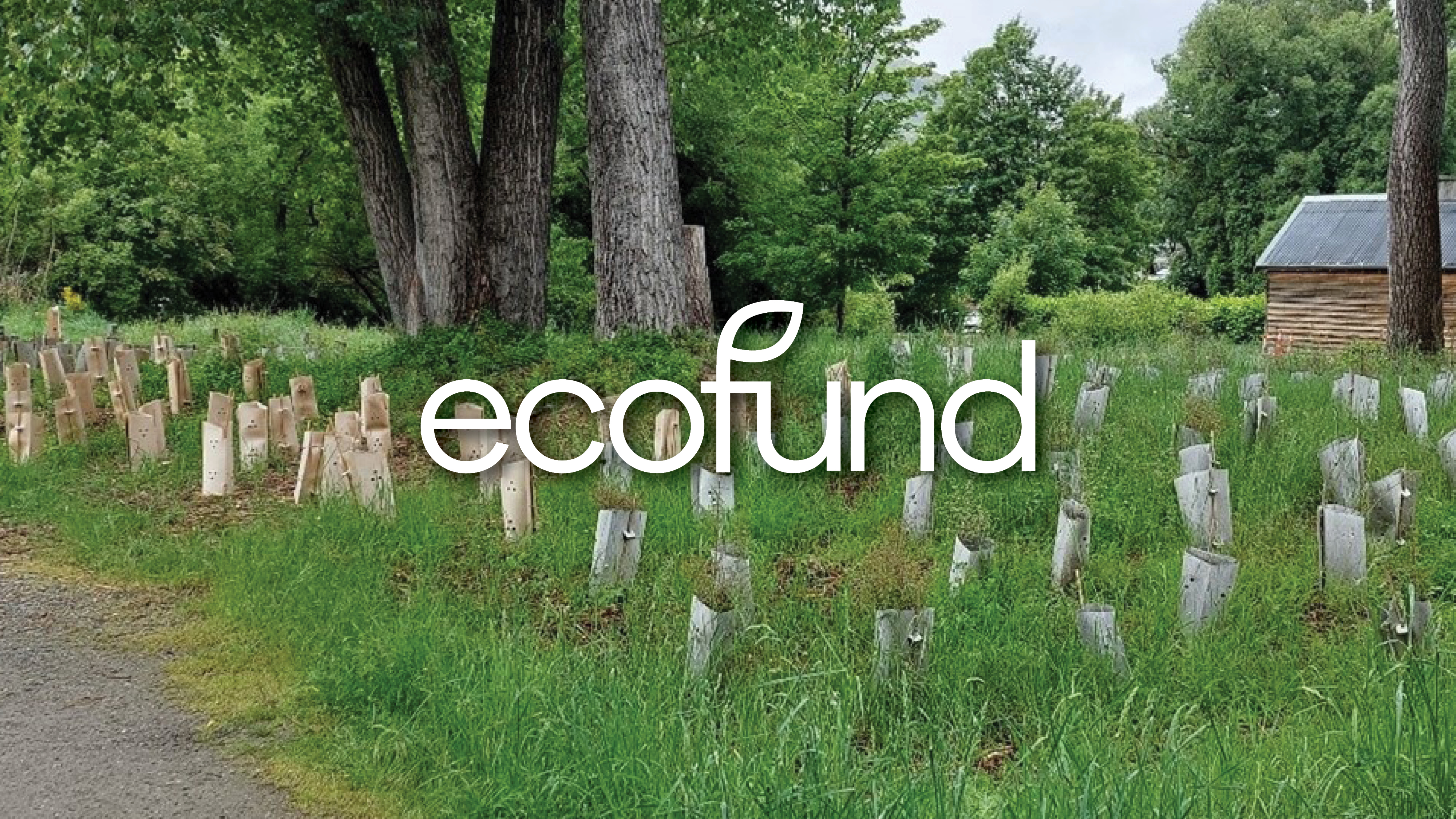 Ecofund Logo Background 1920X1080 Web Tiles4