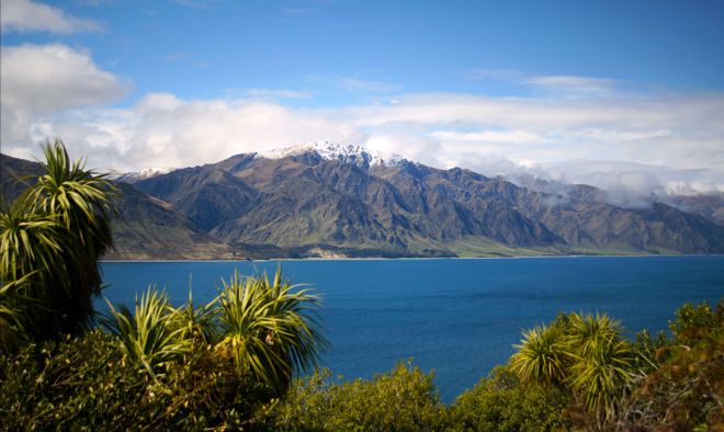 a view of lake Hāwea with mountains in the background and cabbage trees and other bushes in the foreground