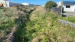 IS2 Downstream - Pre Spray 2025