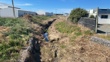 IS2  Downstream - Post Spray 2025