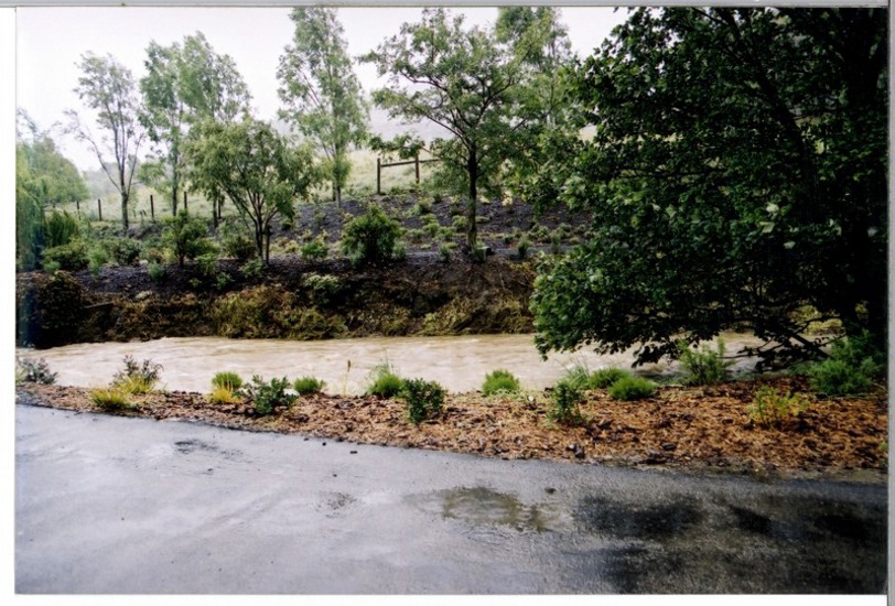 12 Jan 2002 Lindsay Creek At Quarry 3