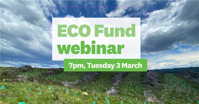 Ecofund Webinat 3 March 2026
