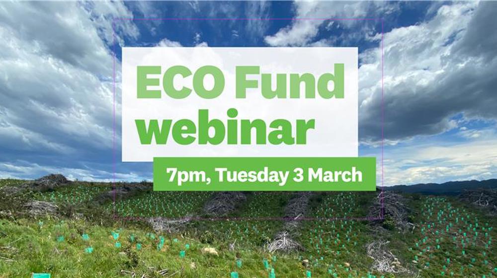 Ecofund Webinat 3 March 2026