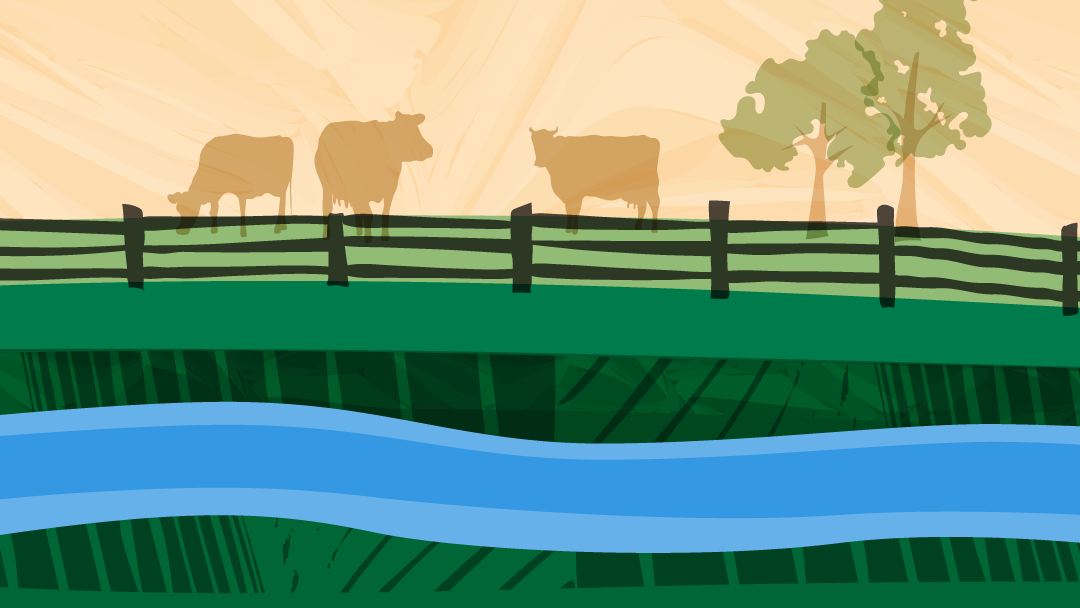 a colourful illustration of cow silhouettes behind a fence with a steam in the foreground