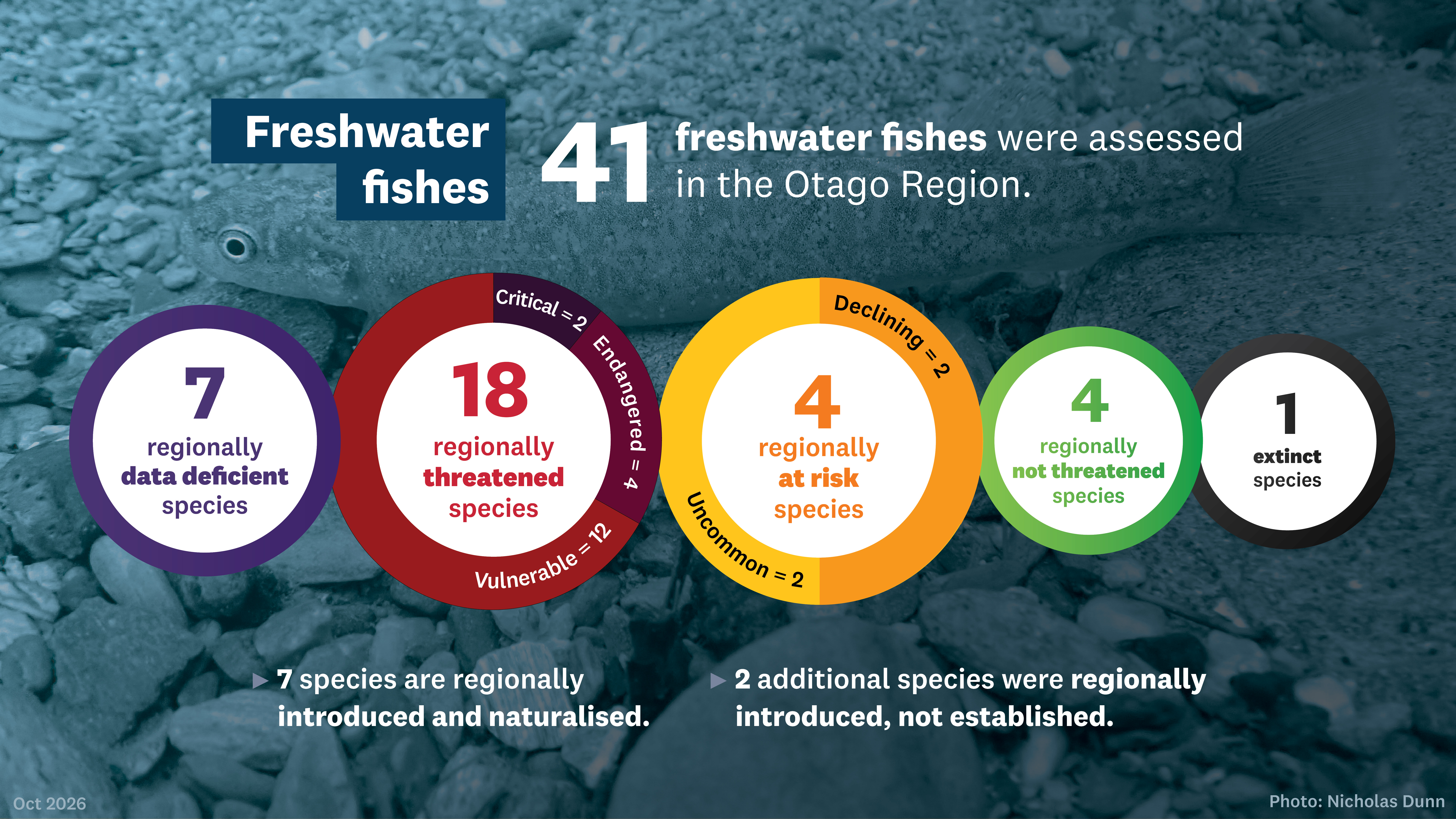 Freshwater Fishes Threat Assessment Stats Infographics Pie Chart Option 1920 X1080Px Oct 2026 261016