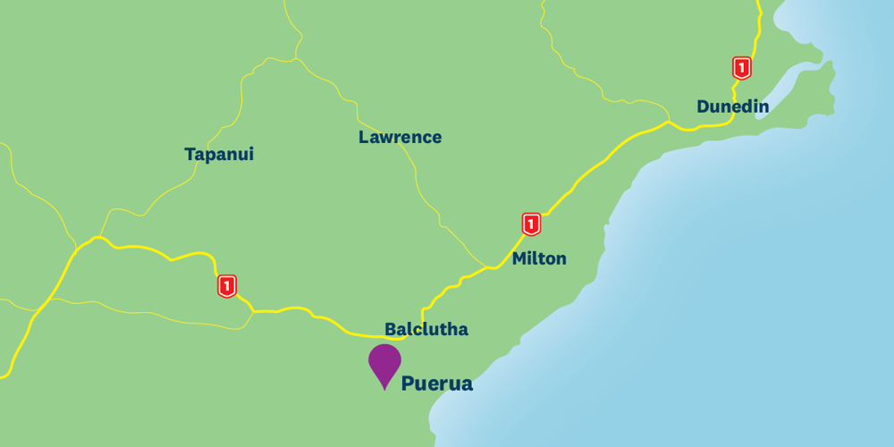 Simplified Map Showing Puerua Is South Of Balclutha Milton And Dunedin