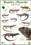 DC Reptiles Poster PNG