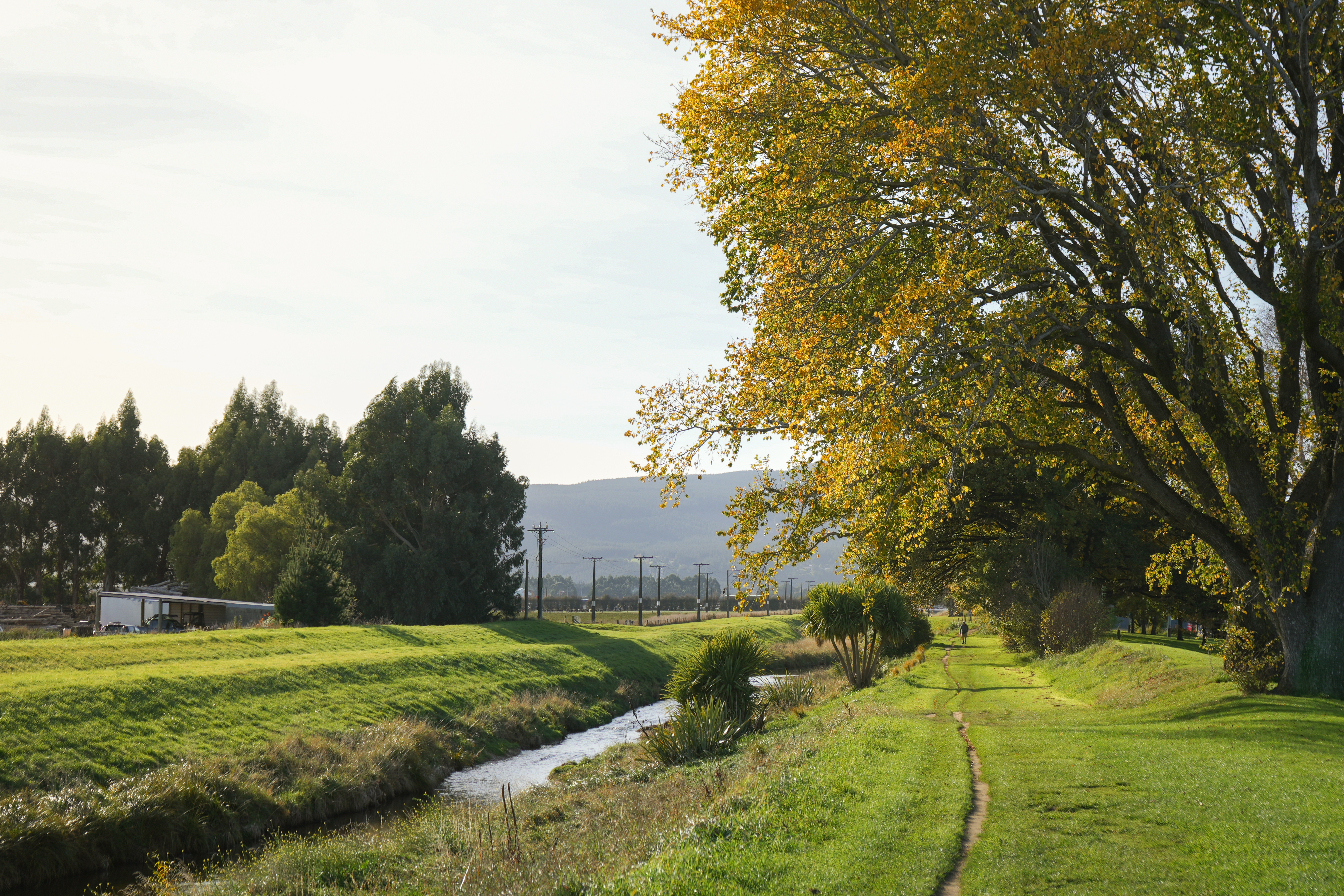 Silver Stream At Gordon Rd Lower Taieri
