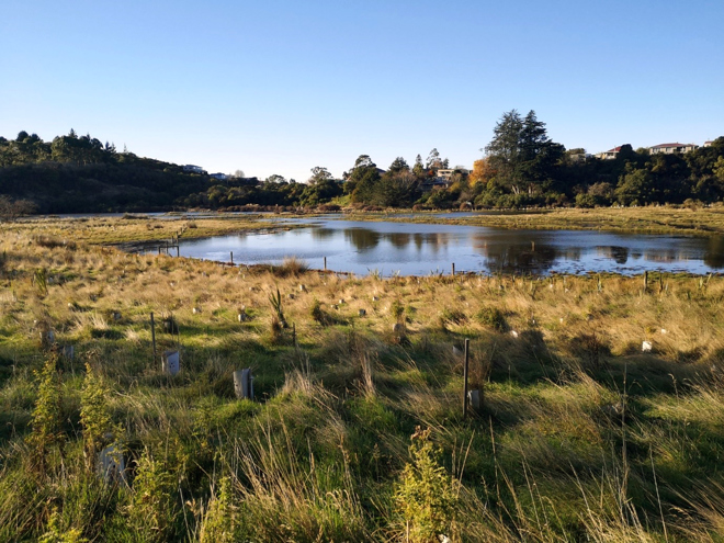 a wetland area in a grassy field with trees and houses in the background