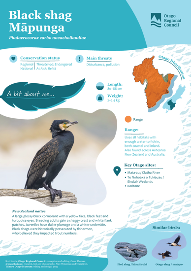 Black Shag Māpunga Thumbnail