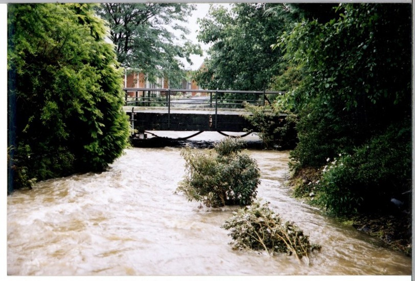 12 Jan 2002 Lindsay Creek At Quarry 2