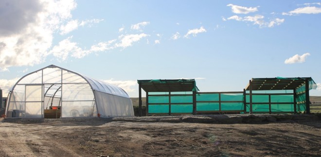 a tunnel house and a shade house on a sunny day