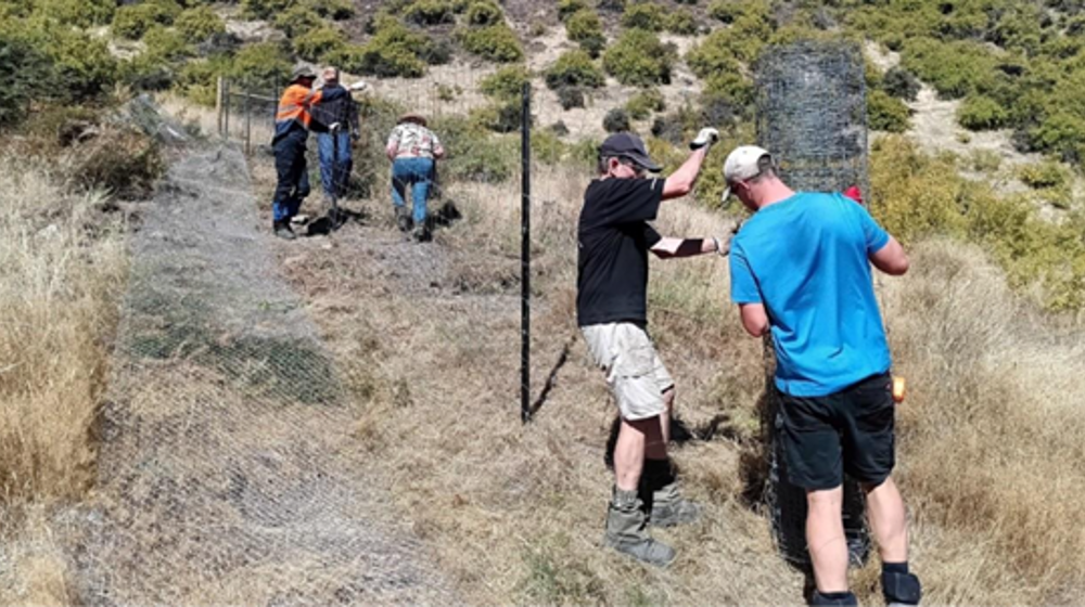 The Mt Rosa Residents Association Constructing Rabbit Netted Fences To Strengthen Their Rabbit Management Efforts, Supported By Sustained Rabbit Management Funding From The ECO Fund In 2023.