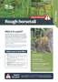 Cover Rough Horsetail Pest Fact Sheets A4 May 2026