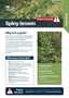 Cover Spiny Broom R Pest Fact Sheets A4 Mar 2026 Page 1