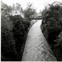 22 September 1971 Water Of Leith Approx. 1500Hrs. Lindsays Creek From Glendining Avenue 2