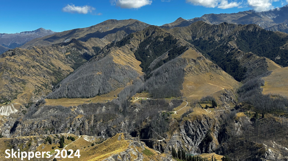 Whakatipu Wilding Control Group Wcg Skippers 2024