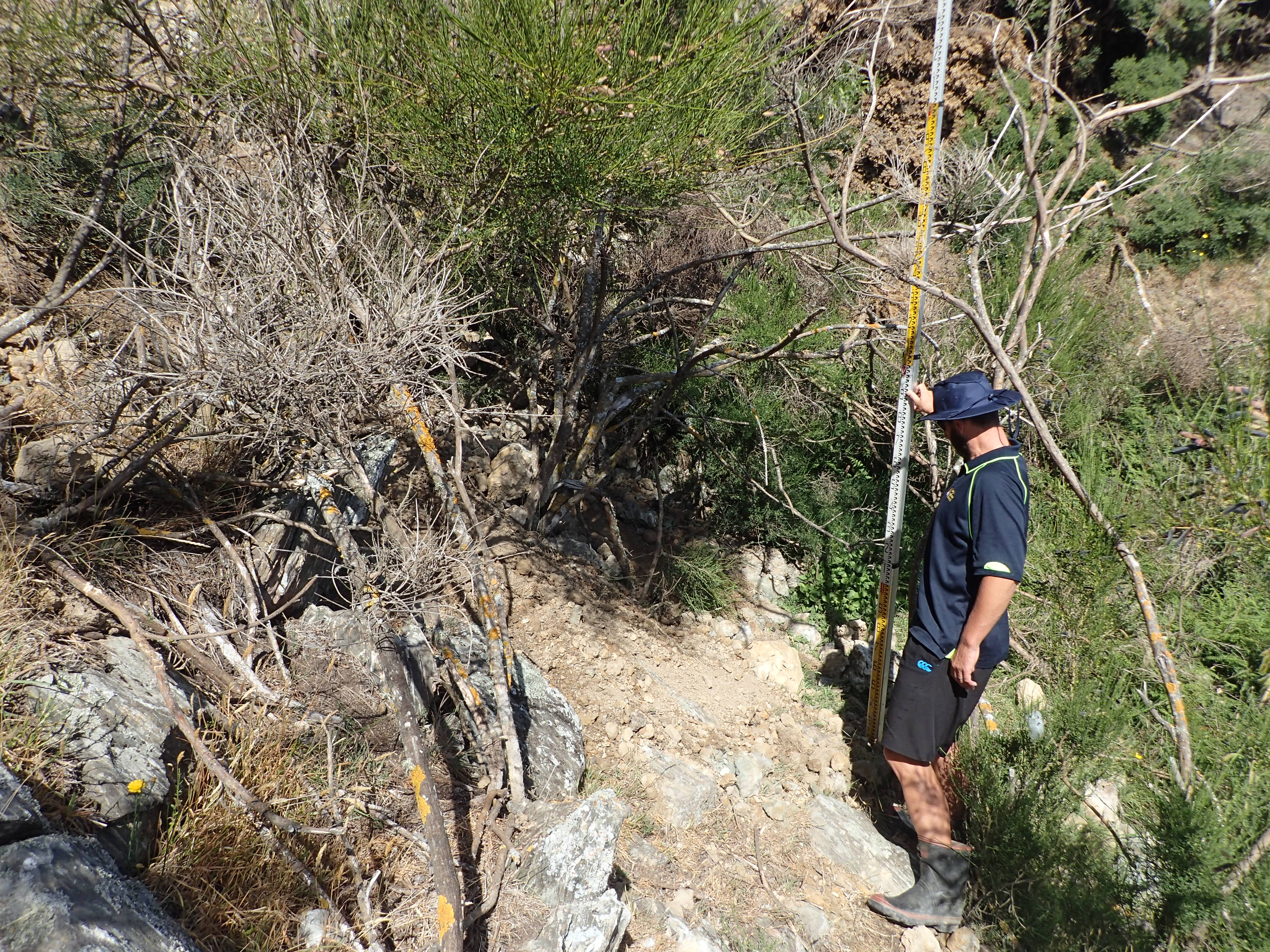 Orc Staff Confirming Dam Height