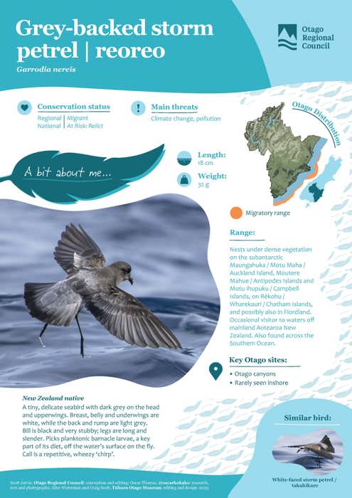 Birds of Otago