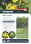 Cover Boneseed R Pest Fact Sheets A4 June 2026