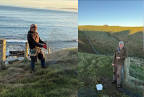 Irahuka Long Point – Rabbit Eradication And Fencing Project