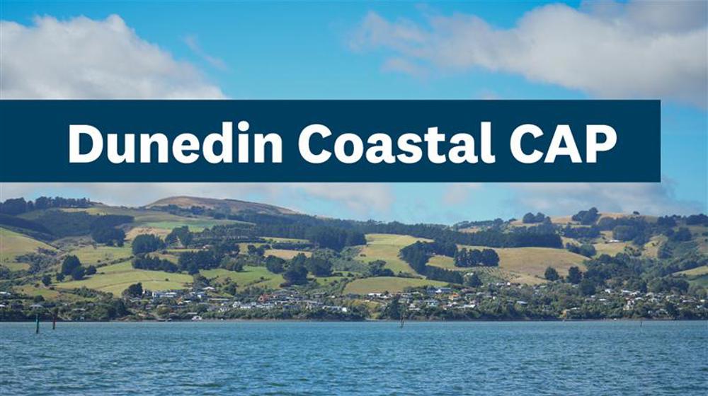 1920X1080 Dunedin Coast CAP 260330