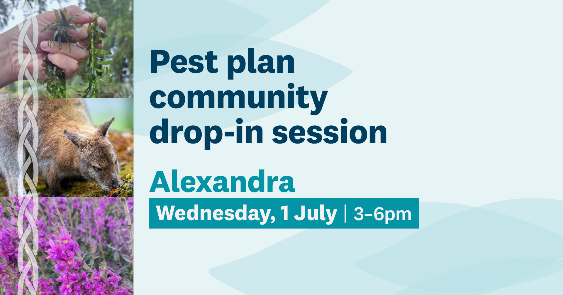 RPMP Alexandra Drop In Session Facebook Event Cover PROOF 260529 Tint