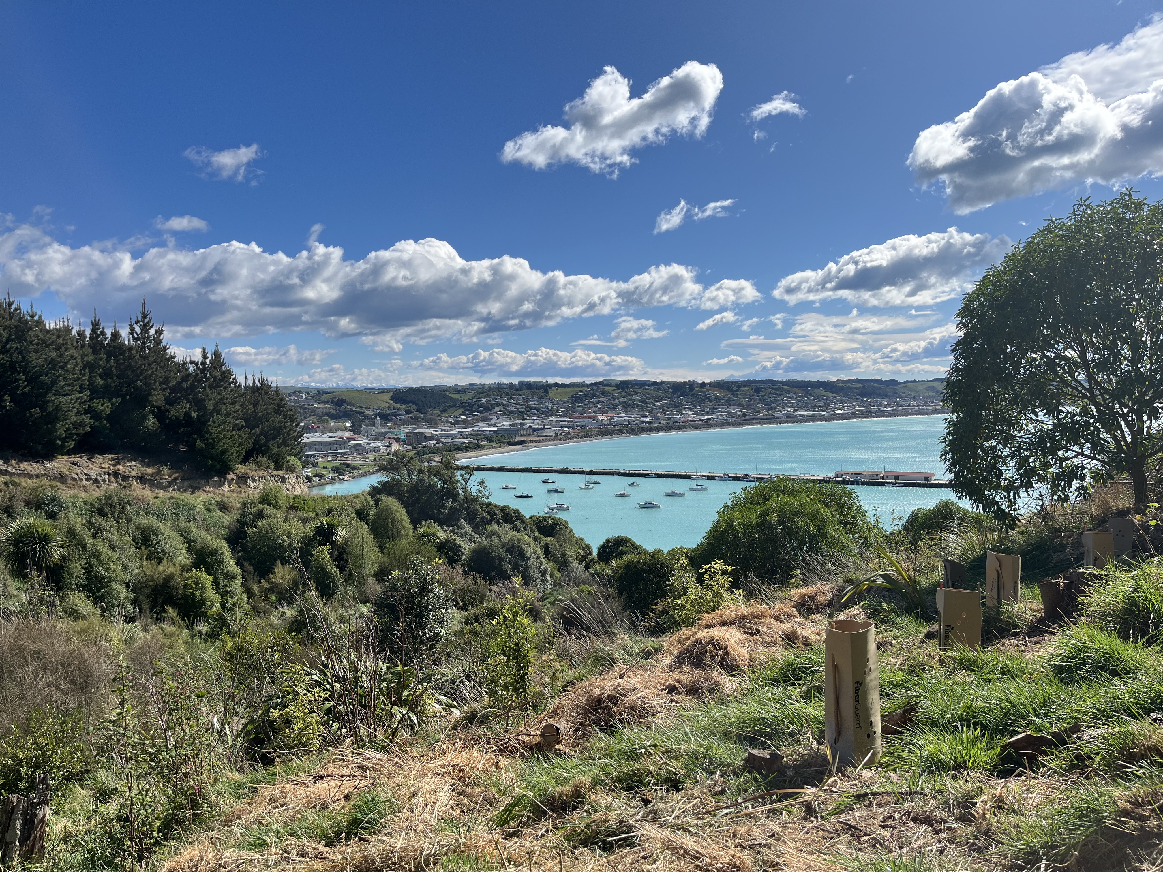 Cape Wanbrow Restoration