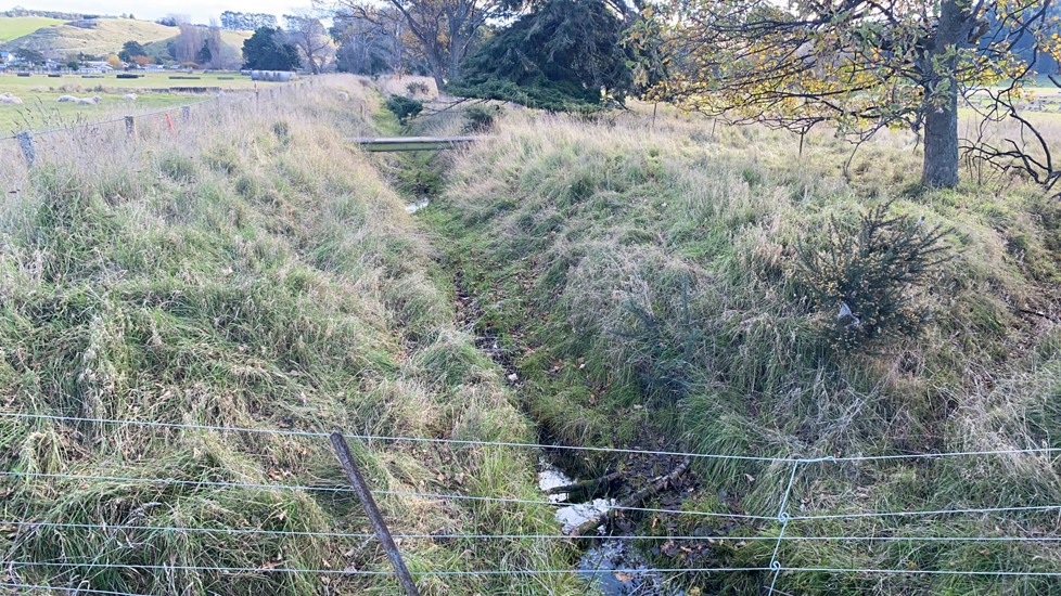 IS2 Upstream - Pre Spray 2025