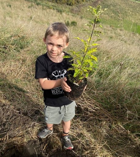a child looking at the camera holding a small tree