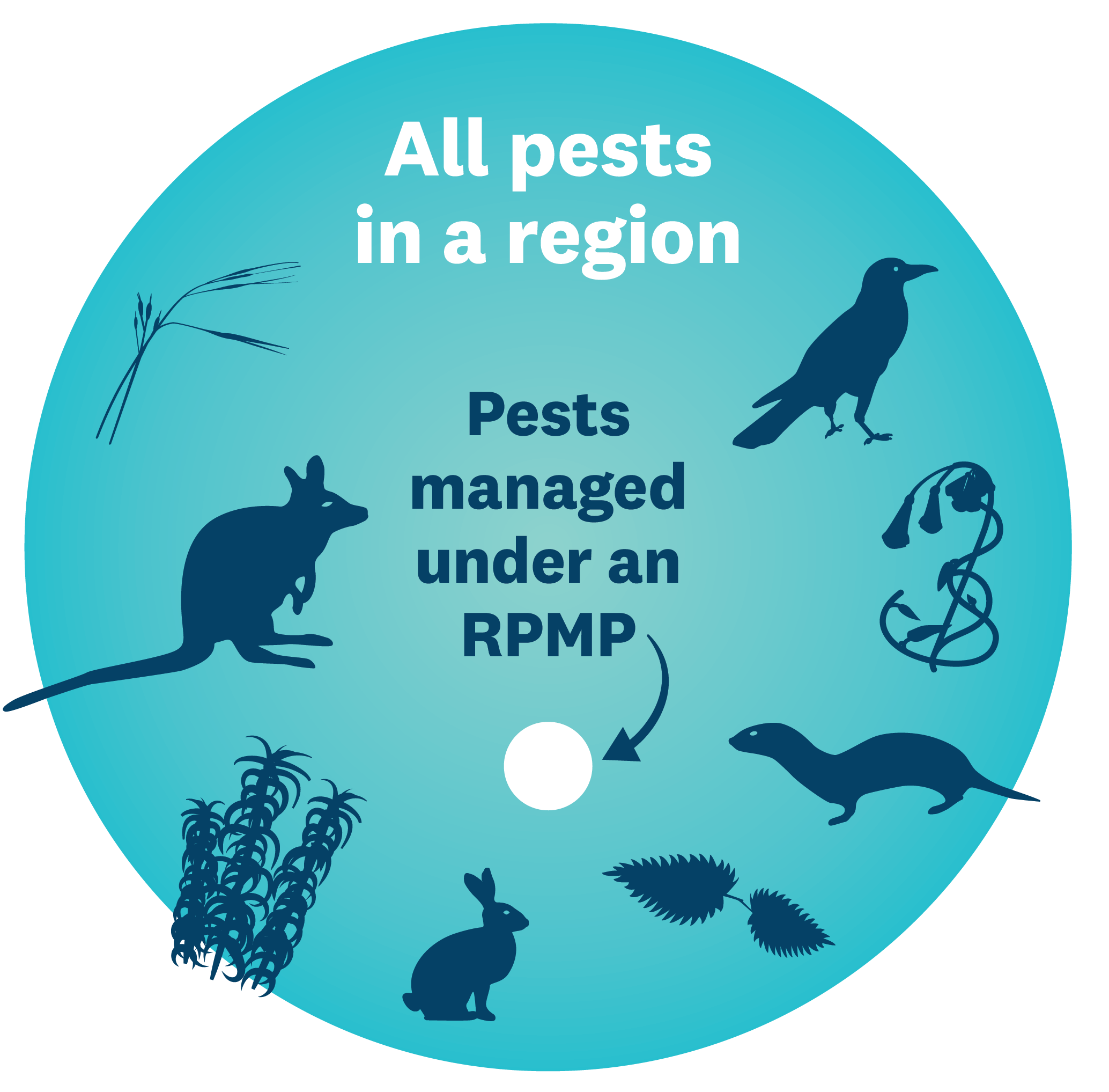 Pests Managed By Rpmp Graphic V2